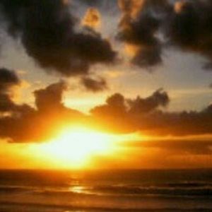 Meet your Posher, Akela